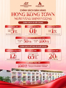 Cập nhật chính sách bán hàng dự án Hong Kong Town mới nhất T8/2026